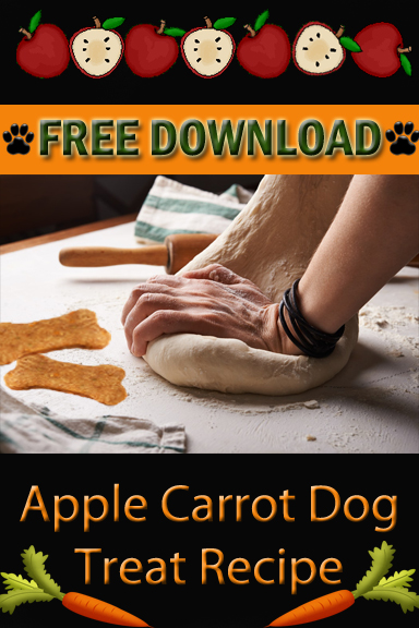 Apple Carrot Dog Treat Recipe