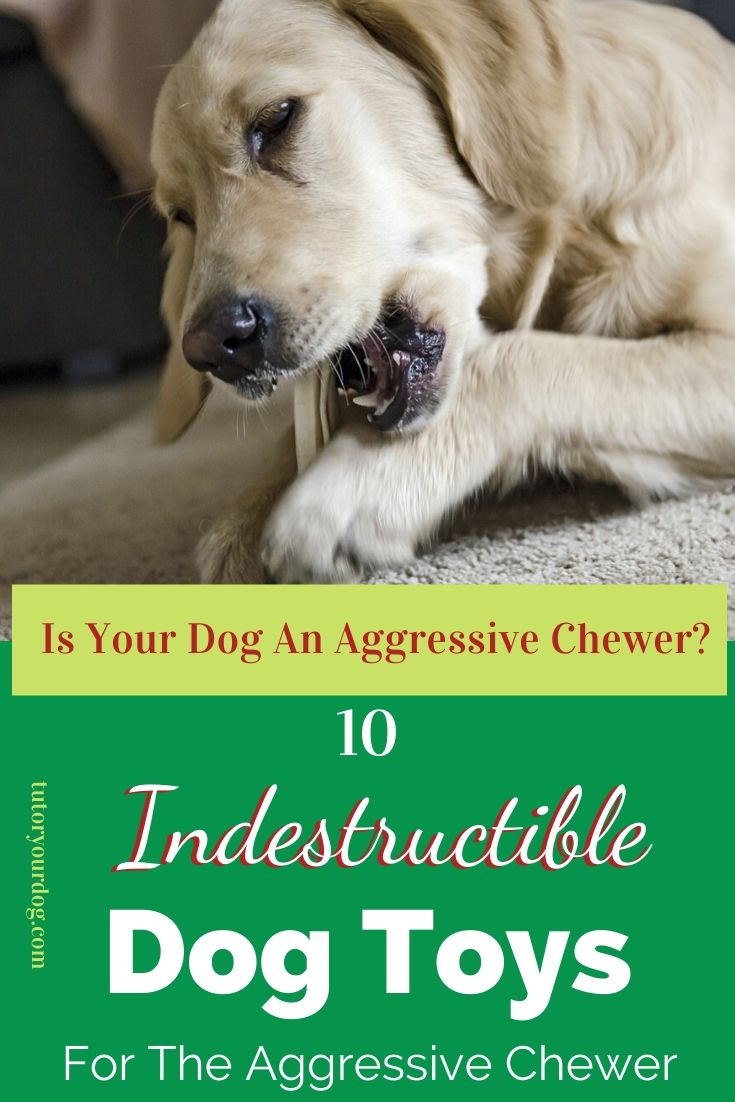 Antarcking Indestructible Dog Toy For Aggressive Chewers – Wolf & Lion Styles, UK