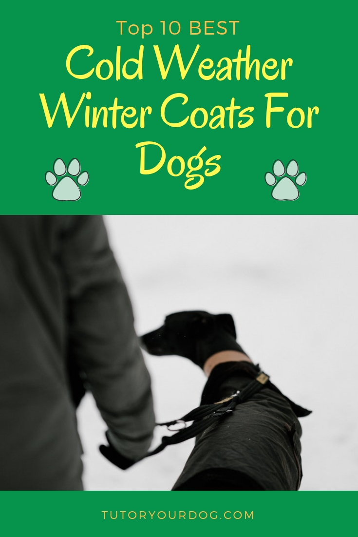 Picture Idea: Top 10 Best Cold Weather Winter Coats For Dogs