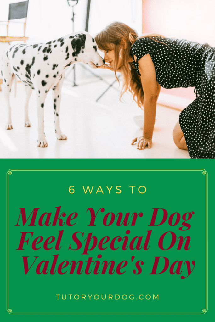 6 Ways To Make Your Dog Feel Special On Valentine's Day