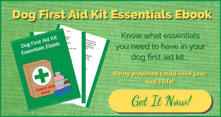 Canine First Aid Kit Essentials Ebook