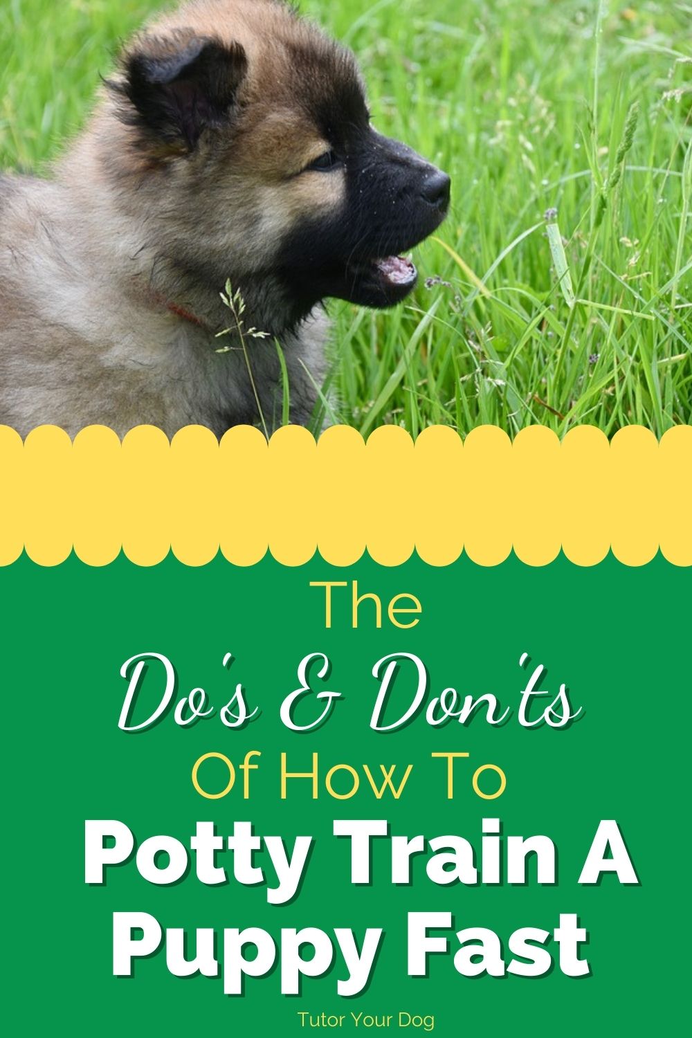 The Do's And Don'ts Of How To Potty Train A Puppy Fast - Tutor Your Dog
