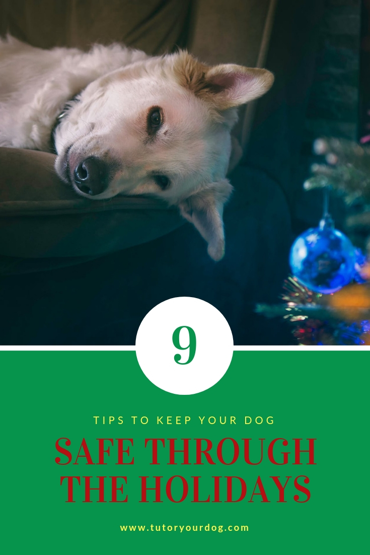 9 Tips To Keep Your Dog Safe Through The Holidays - Tutor Your Dog