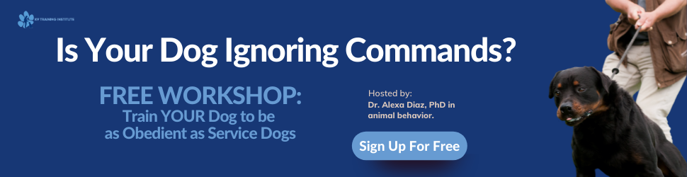 Free Dog Training Workshop